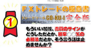 FX�g���[�h�̋Ɉӏ�